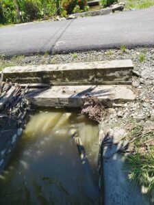 IMG-20250316-WA0029~2