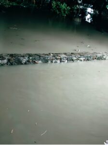 IMG-20250316-WA0031~2