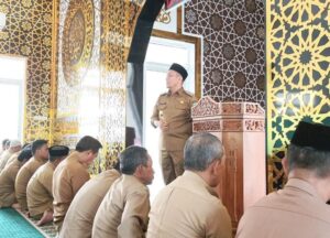 IMG_20250307_101306 IMG_20250307_101306