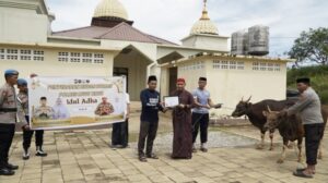 WhatsApp-Image-2025-06-06-at-17.09.05_2979009a-768×431