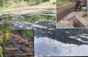 IMG-20250827-WA0007(1)