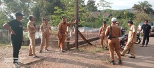 WhatsApp Image 2025-10-10 at 12.08.14 (1)